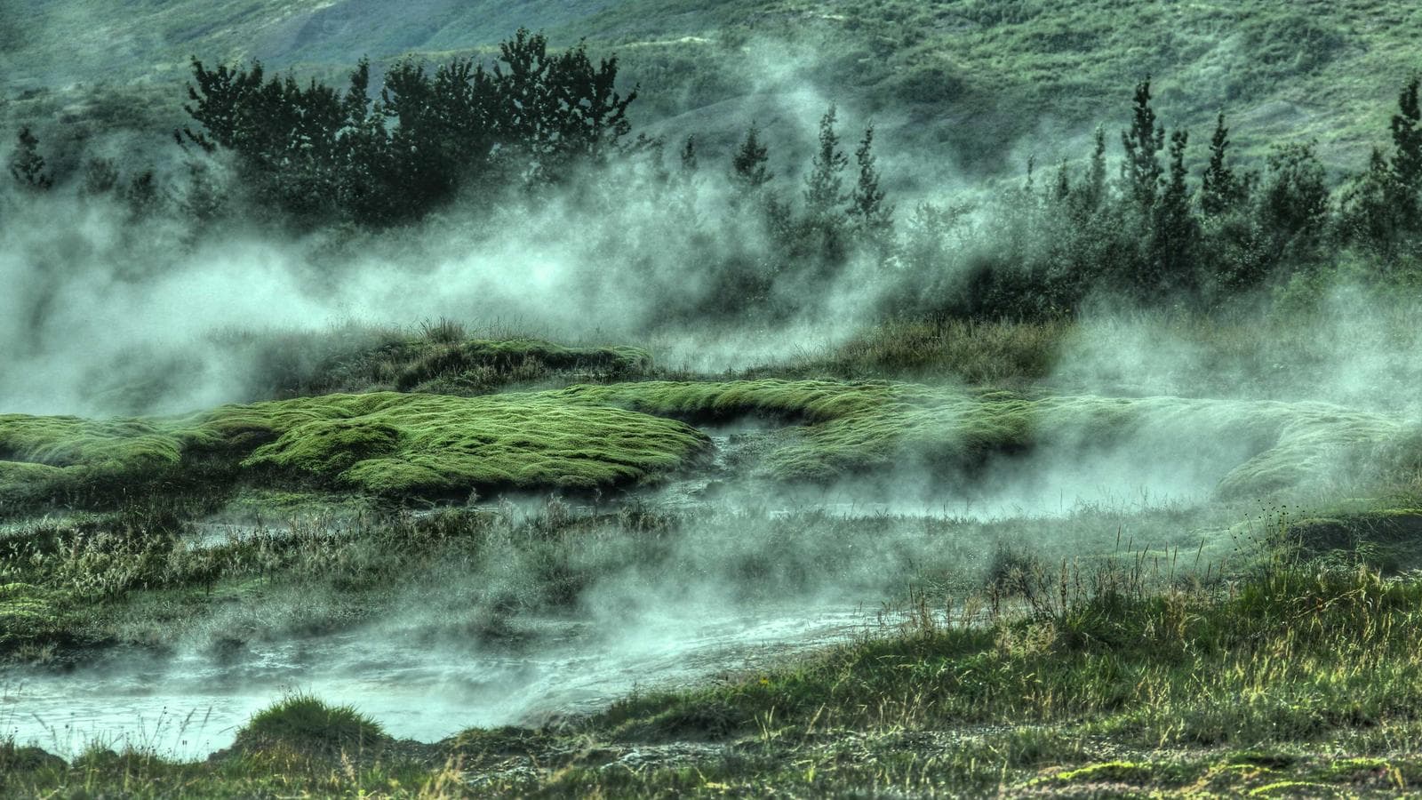 monitor preview for monitor website mockup